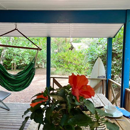Espace Blue Ocean Ondres Bagian luar foto